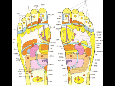 足療按摩手法流程課堂教學