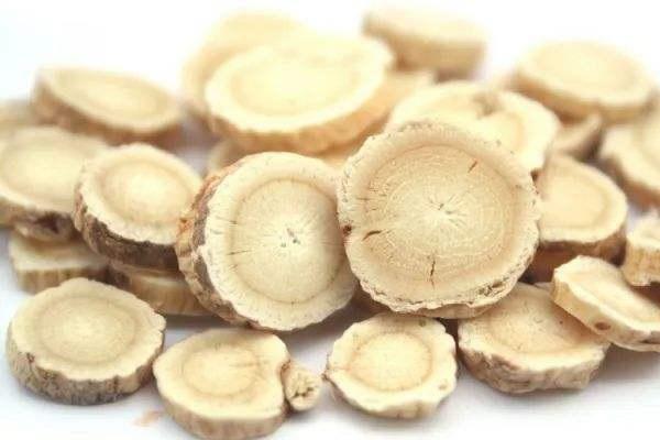 丹參不能和什么一起吃