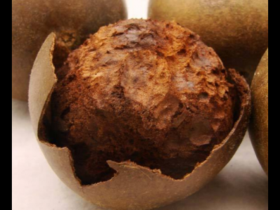 羅漢果的藥用價(jià)值