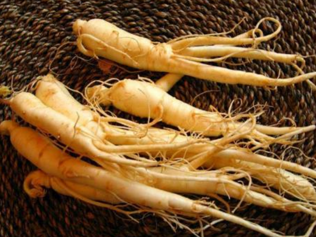 人參鹿鞭片有什么療效