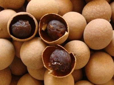 龍眼的功效與作用