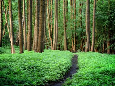 中藥治療面癱偏方？中醫治療面癱多長時間