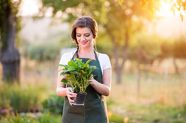 肉蓯蓉和什么泡酒最好?配伍鎖陽壯陽且延年益壽-易網健康<a href=http://www.logojc.com/jkys/ target=_blank class=infotextkey>養生</a>網 肉蓯蓉和什么泡酒最好?配伍鎖陽壯陽且延年益壽