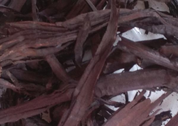 治療濕疹的中藥有哪些？8大治濕疹的特效中藥