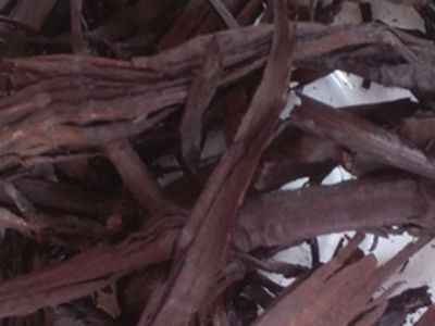 治療濕疹的中藥有哪些？8大治濕疹的特效中藥