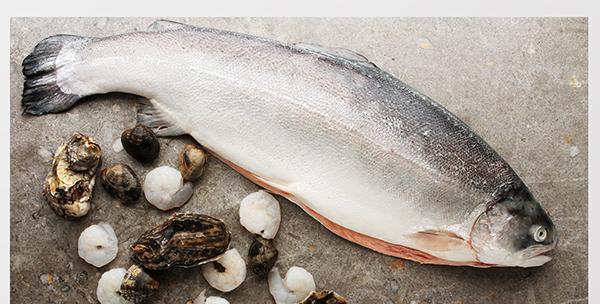 吃什么補蛋白質最快？十大高蛋白食物排行榜