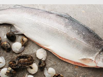 吃什么補蛋白質(zhì)最快？十大高蛋白食物排行榜