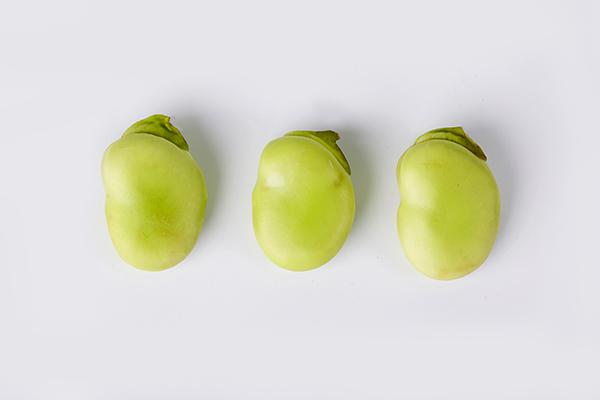 蠶豆的熱量高嗎？蠶豆含淀粉高嗎