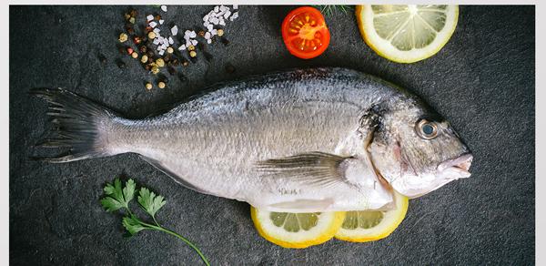 減肥可以吃的肉類排行 吃不胖的肉食-易網健康<a href=http://www.logojc.com/jkys/ target=_blank class=infotextkey>養生</a>網 減肥可以吃的肉類排行 吃不胖的肉食