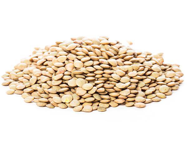 扁豆花的功效與作用？野扁豆的功效與作用