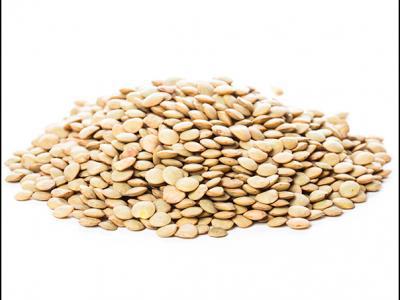 扁豆花的功效與作用？野扁豆的功效與作用