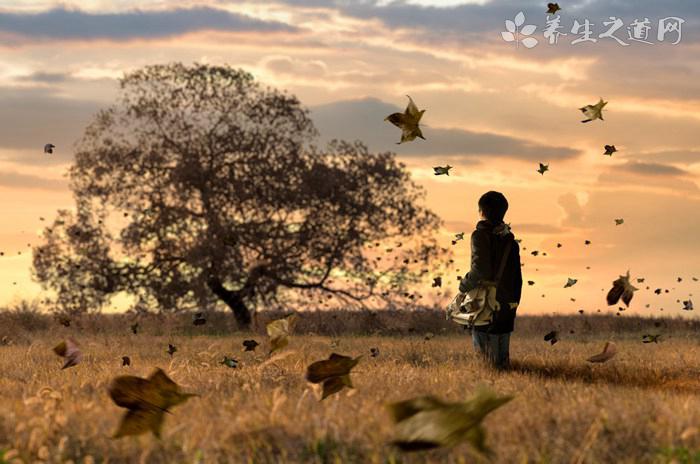 日本超酷炫幼兒園 在玩耍跌倒中學(xué)會生活-易網(wǎng)健康養(yǎng)生網(wǎng) 日本超酷炫幼兒園 在玩耍跌倒中學(xué)會生活