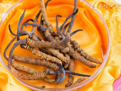 日本發現治療腦梗塞更有效方法