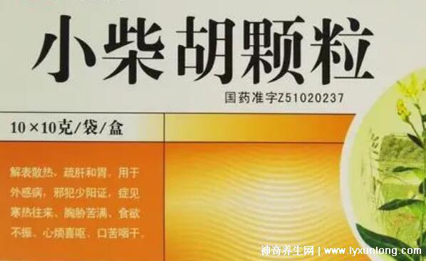 小柴胡三種人不能吃，其實有六種人不能吃(風寒/陰虛慎用)