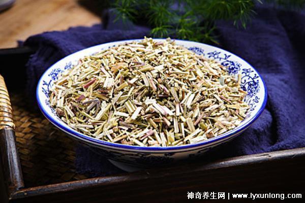 荊芥的十大神奇功效，治療風熱頭痛/咽喉腫痛(能抗過敏/消疹止癢)