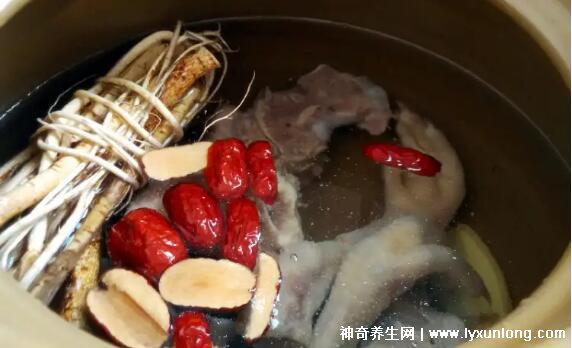 六種人不宜吃五指毛桃，孕婦/肝腎功能不全/過敏/胃火旺慎吃