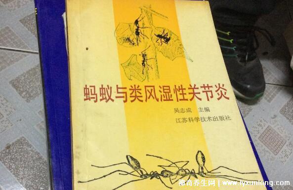 黑螞蟻治療類風濕配方，螞蟻消痹湯(類風濕性關節炎的克星)