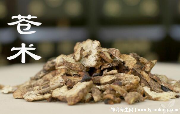 黃柏和蒼術(shù)泡水喝的功效與禁忌，7種人不宜吃黃柏和蒼術(shù)