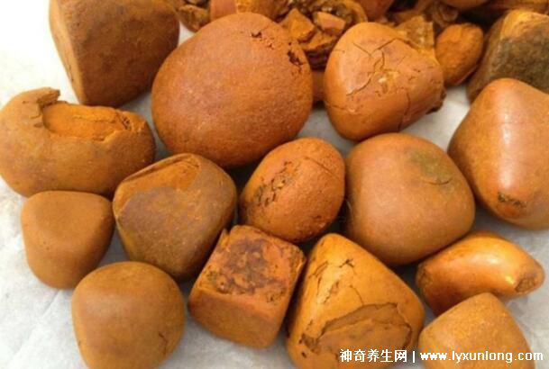 牛黃是什么東西多少錢一克，牛膽囊的膽結石500元/克(圖片)