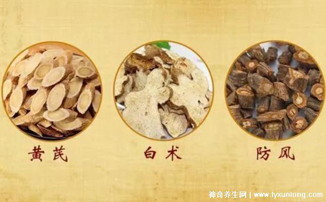 黃芪15g白術(shù)10g防風(fēng)10g，可用于治療氣虛感冒(附泡茶方法)