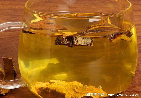 黃柏和蒼術(shù)泡水喝的功效與禁忌，7種人不宜吃黃柏和蒼術(shù)