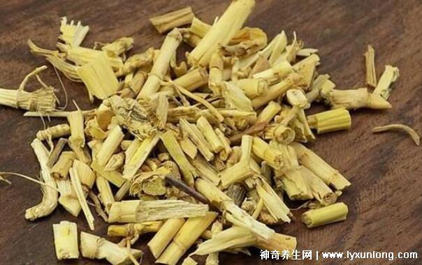 白茅根治好了我的尿毒癥,利尿排毒/恢復腎功能(附真實案例)-易網健康<a href=http://www.logojc.com/jkys/ target=_blank class=infotextkey>養生</a>網 白茅根治好了我的尿毒癥,利尿排毒/恢復腎功能(附真實案例)