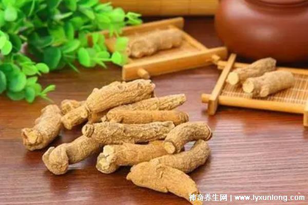 藏雪參的功效與作用吃法,預防高血糖/延年益壽(可泡水喝/煲湯)-易網<a href=http://www.logojc.com/ target=_blank class=infotextkey>健康養生</a>網 藏雪參的功效與作用吃法,預防高血糖/延年益壽(可泡水喝/煲湯)