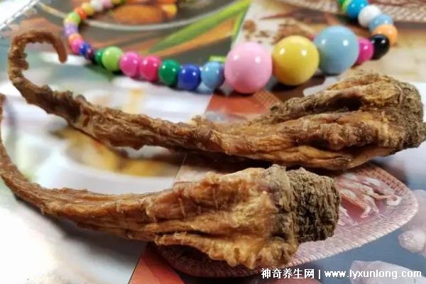 藏雪參的功效與作用吃法,預防高血糖/延年益壽(可泡水喝/煲湯)-易網健康<a href=http://www.logojc.com/jkys/ target=_blank class=infotextkey>養生</a>網 藏雪參的功效與作用吃法,預防高血糖/延年益壽(可泡水喝/煲湯)