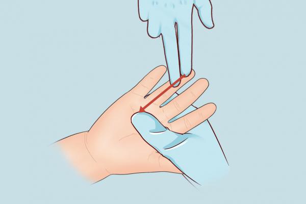 肺經(jīng)的作用