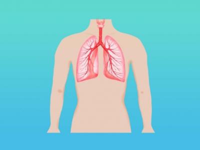 肺經(jīng)不通的癥狀