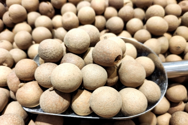 當(dāng)歸搭配什么食材養(yǎng)血效果最好