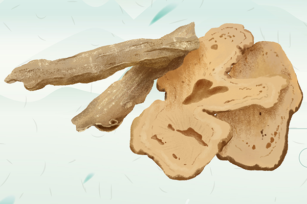 男性吃當歸有好處嗎