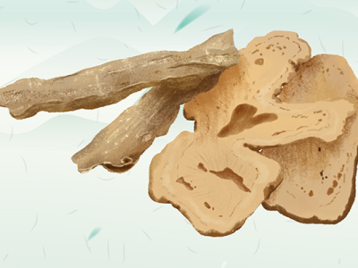 當(dāng)歸不適合哪些人吃