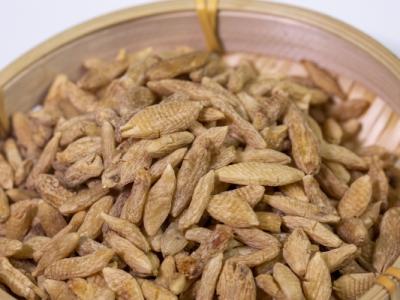 補(bǔ)腎常用的中藥有哪些